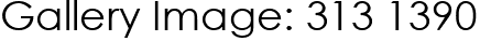 Gallery Image: 313 1390