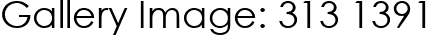Gallery Image: 313 1391