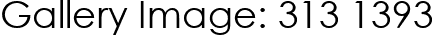 Gallery Image: 313 1393