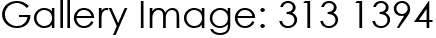 Gallery Image: 313 1394