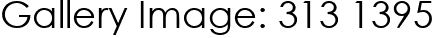 Gallery Image: 313 1395