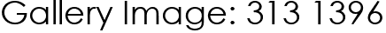 Gallery Image: 313 1396