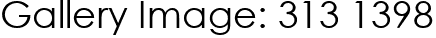 Gallery Image: 313 1398