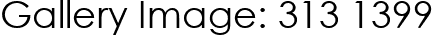 Gallery Image: 313 1399