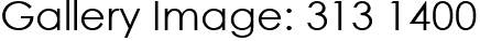 Gallery Image: 313 1400