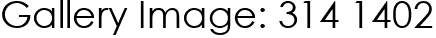 Gallery Image: 314 1402