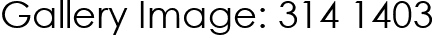 Gallery Image: 314 1403