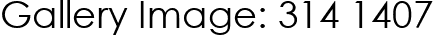 Gallery Image: 314 1407