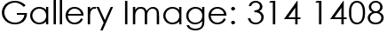 Gallery Image: 314 1408