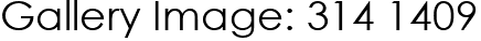 Gallery Image: 314 1409