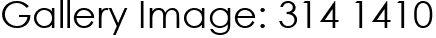 Gallery Image: 314 1410