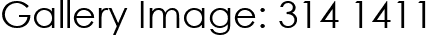Gallery Image: 314 1411