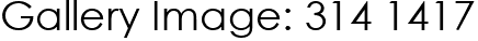 Gallery Image: 314 1417
