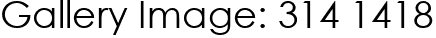 Gallery Image: 314 1418