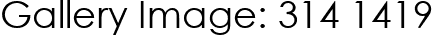 Gallery Image: 314 1419