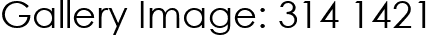 Gallery Image: 314 1421