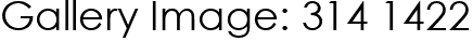 Gallery Image: 314 1422