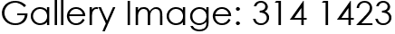 Gallery Image: 314 1423