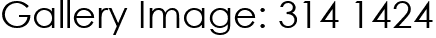 Gallery Image: 314 1424
