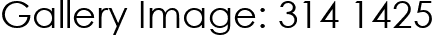 Gallery Image: 314 1425