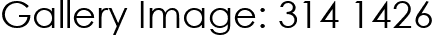 Gallery Image: 314 1426