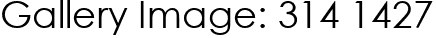 Gallery Image: 314 1427