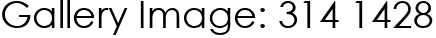 Gallery Image: 314 1428