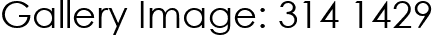 Gallery Image: 314 1429