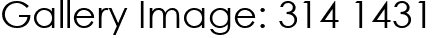 Gallery Image: 314 1431