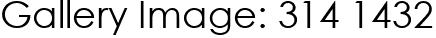 Gallery Image: 314 1432