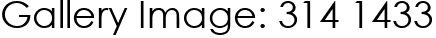 Gallery Image: 314 1433