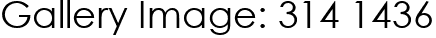 Gallery Image: 314 1436