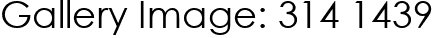 Gallery Image: 314 1439