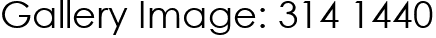 Gallery Image: 314 1440