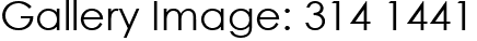 Gallery Image: 314 1441