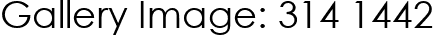 Gallery Image: 314 1442