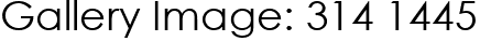 Gallery Image: 314 1445
