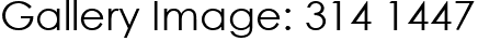 Gallery Image: 314 1447