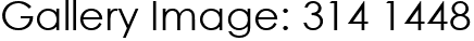 Gallery Image: 314 1448