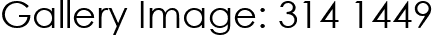 Gallery Image: 314 1449