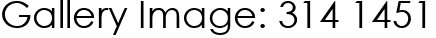 Gallery Image: 314 1451