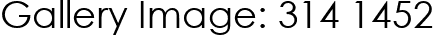 Gallery Image: 314 1452
