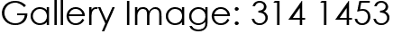 Gallery Image: 314 1453