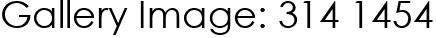 Gallery Image: 314 1454