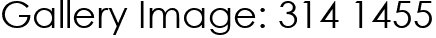 Gallery Image: 314 1455