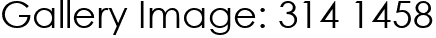Gallery Image: 314 1458