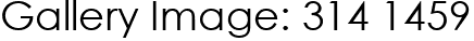 Gallery Image: 314 1459
