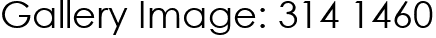 Gallery Image: 314 1460