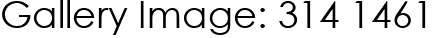 Gallery Image: 314 1461
