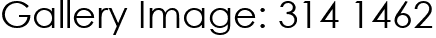 Gallery Image: 314 1462